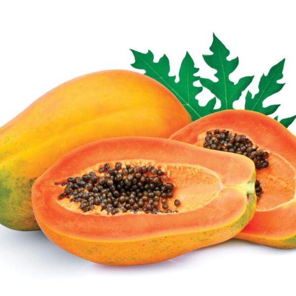 Papaya-3 Ct