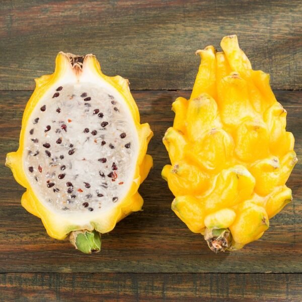 yellow dragon fruit 3 Ct
