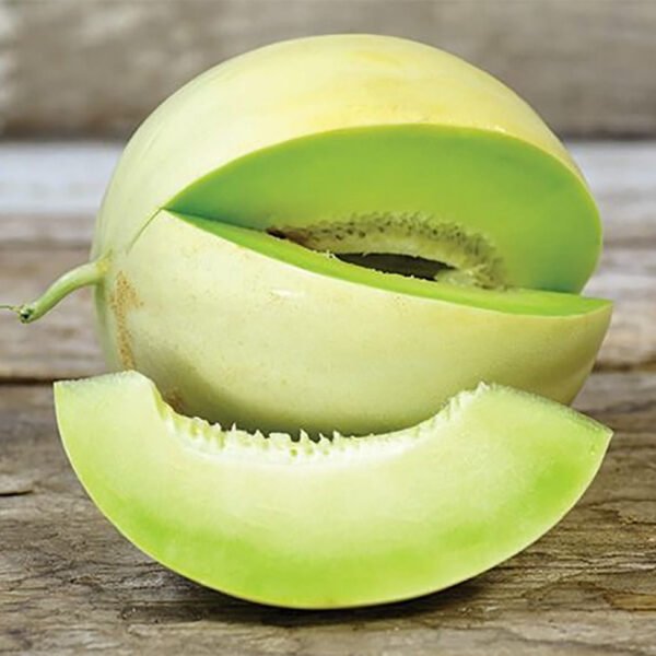 honeydew melon-each