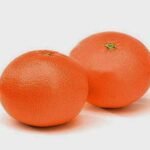沙田橘-5个